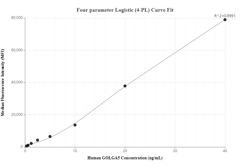 Cytometric bead array standard curve of MP00813-1, GOLGA5 Recombinant Matched Antibody Pair, PBS Only. Capture antibody: 83839-3-PBS. Detection antibody: 83839-1-PBS. Standard: Ag35031. Range: 0.313-40 ng/mL.  